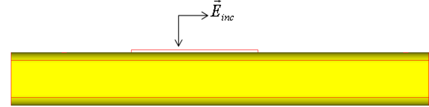 The incident field and an external cable are shown